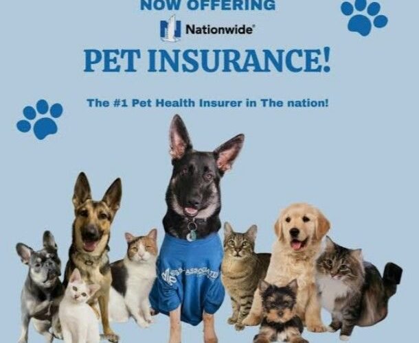 Nationwide Pet Insurance